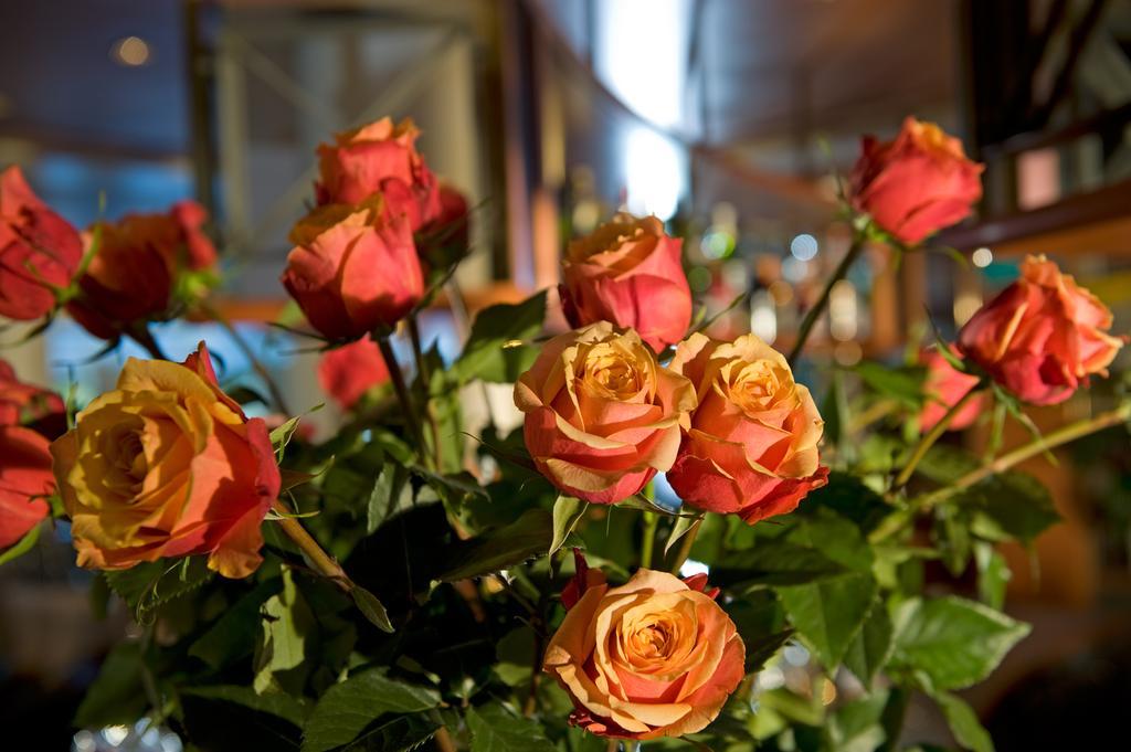 Cresta Sun Otel Ostrava Dış mekan fotoğraf